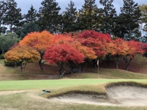 紅葉が綺麗になってきました