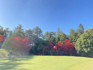 紅葉が綺麗になってきました