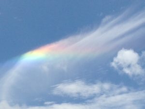 「彩雲」を初めて見ました(^^)